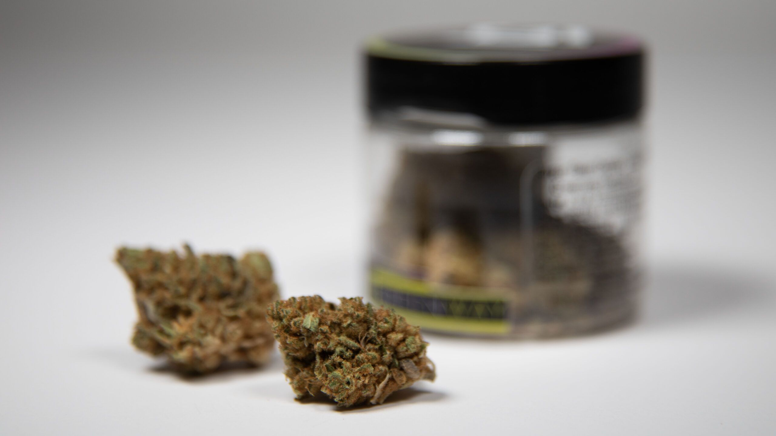 Understanding the Difference Between Indica, Sativa, and Hybrid Cannabis Strains