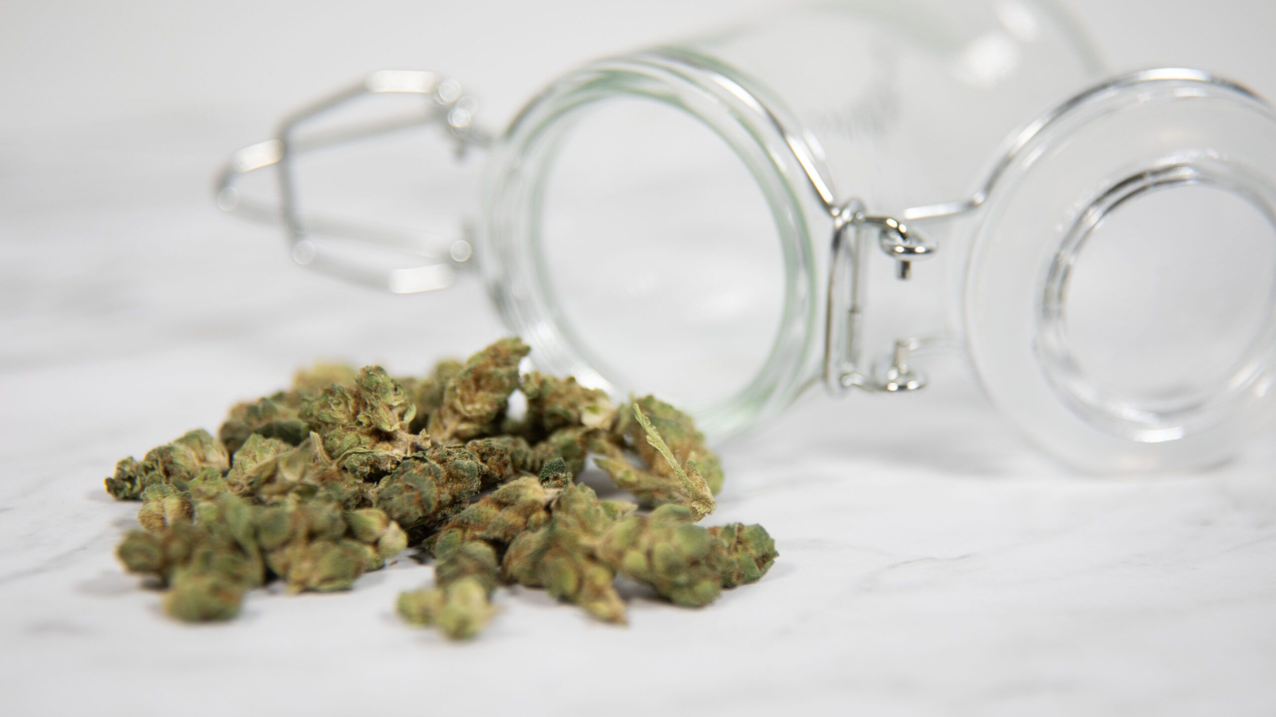 Navigating the Green Frontier: Florida’s Medicinal Cannabis Scene