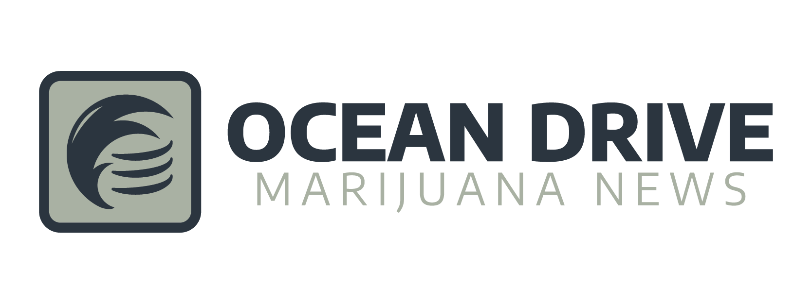 Ocean Drive Marijuana News